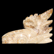 Chocolate Calcite Dragon's head hand-carved 118*41*85mm 494g in sunlight - Rocks and Things Store