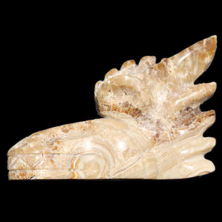 Chocolate Calcite Dragon's head hand-carved 118*41*85mm 494g in sunlight - Rocks and Things Store