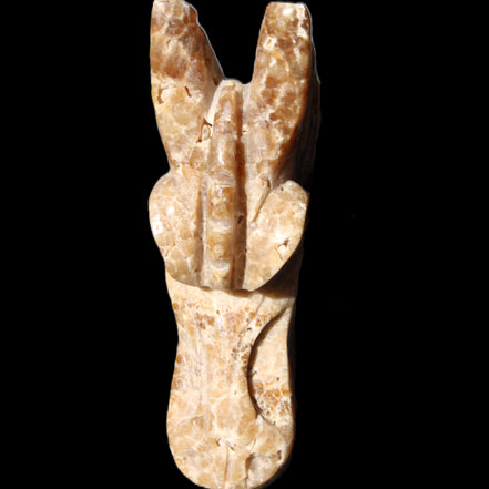 Chocolate Calcite Dragon's head hand-carved 118*41*85mm 494g in sunlight - Rocks and Things Store