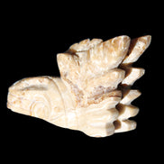 Chocolate Calcite Dragon's head hand-carved 118*41*85mm 494g in sunlight - Rocks and Things Store