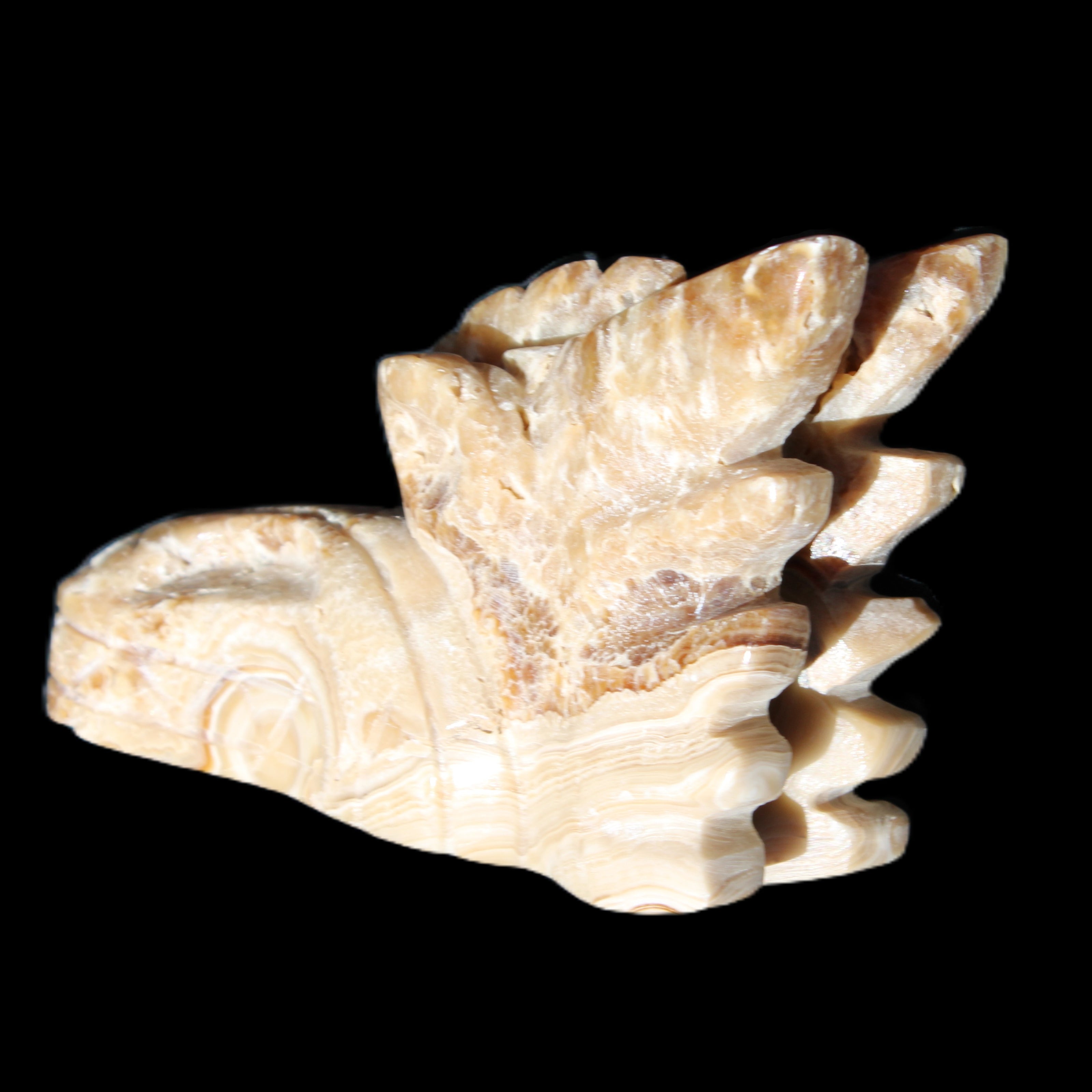 Chocolate Calcite Dragon's head hand-carved 118*41*85mm 494g in sunlight - Rocks and Things Store