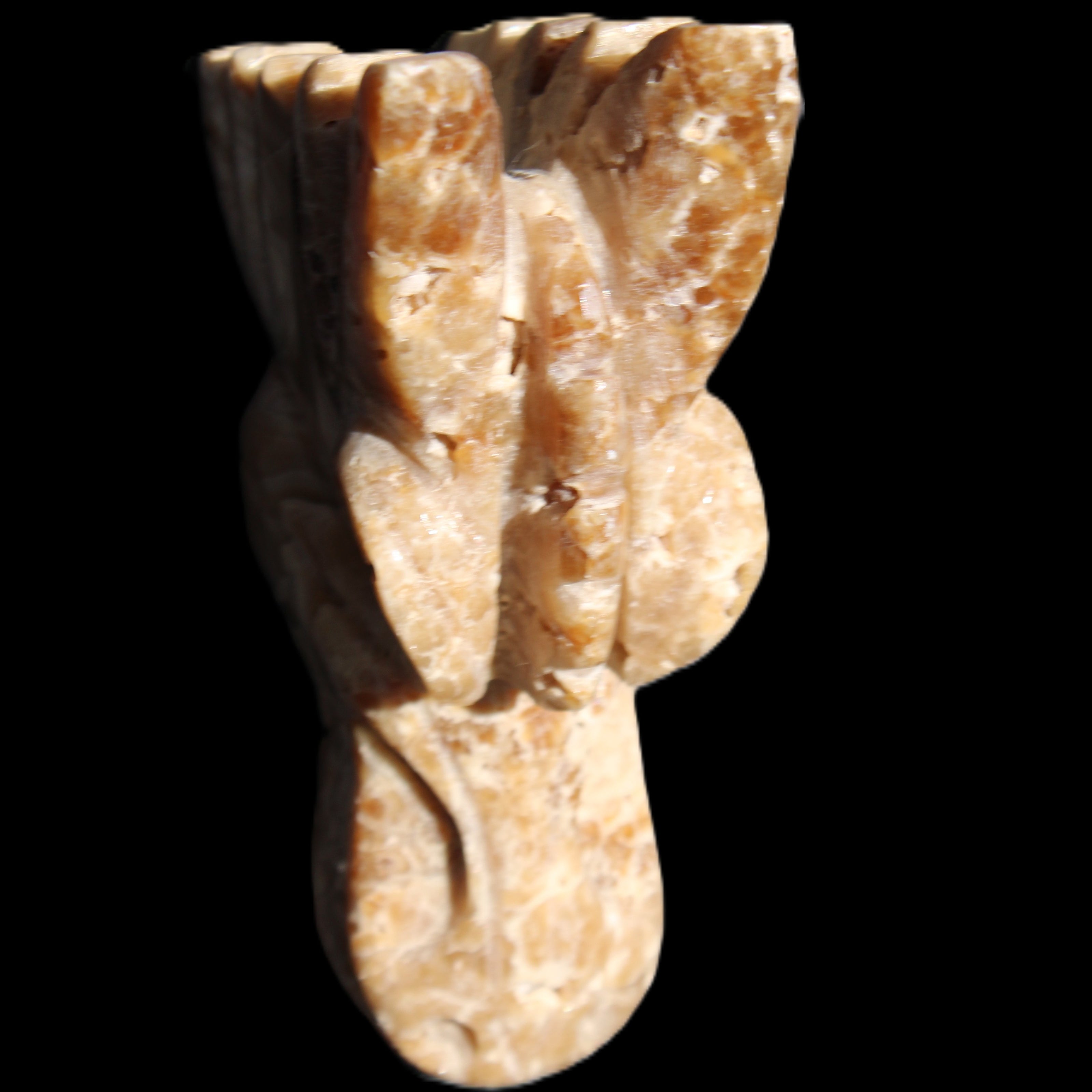 Chocolate Calcite Dragon's head hand-carved 118*41*85mm 494g in sunlight - Rocks and Things Store