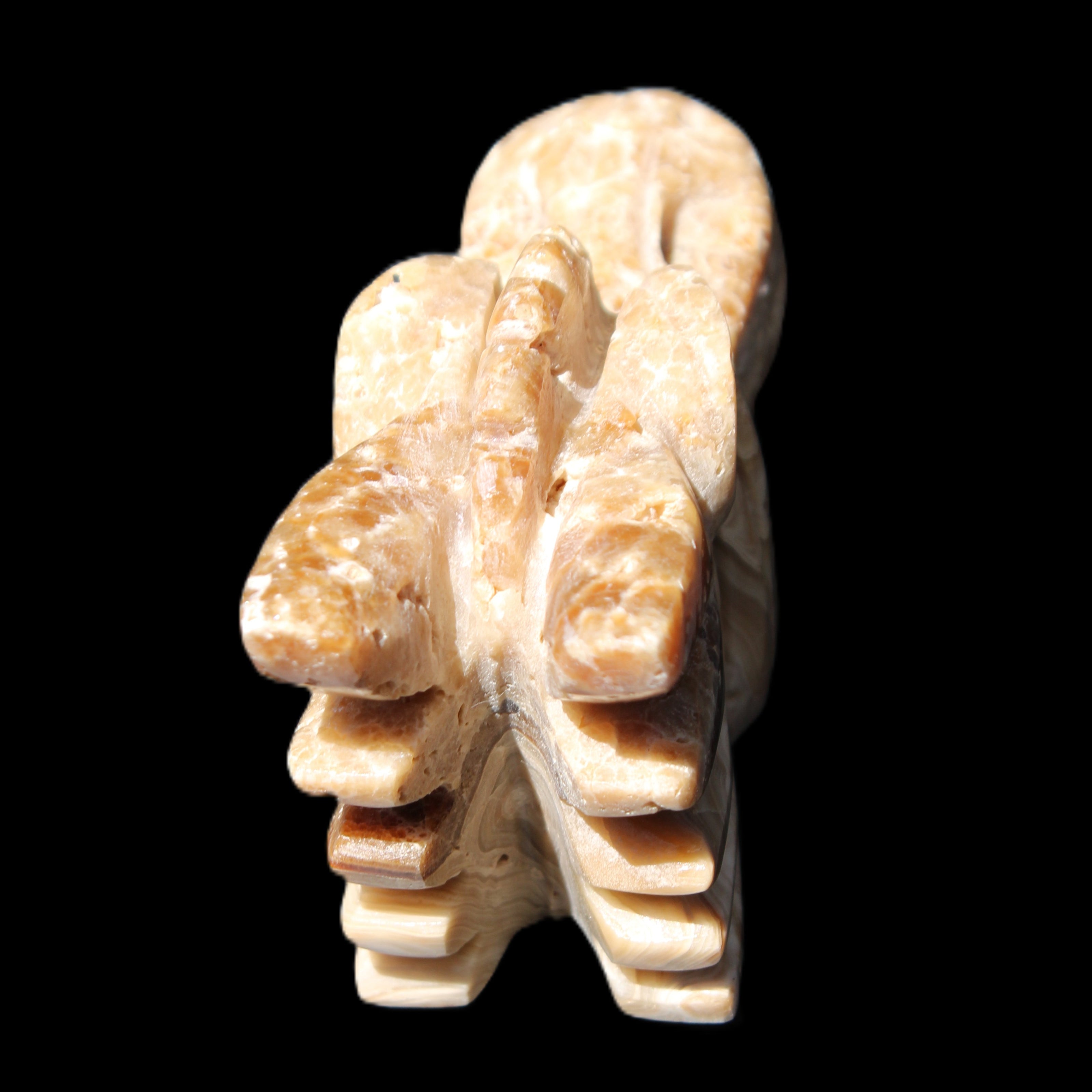 Chocolate Calcite Dragon's head hand-carved 118*41*85mm 494g in sunlight - Rocks and Things Store