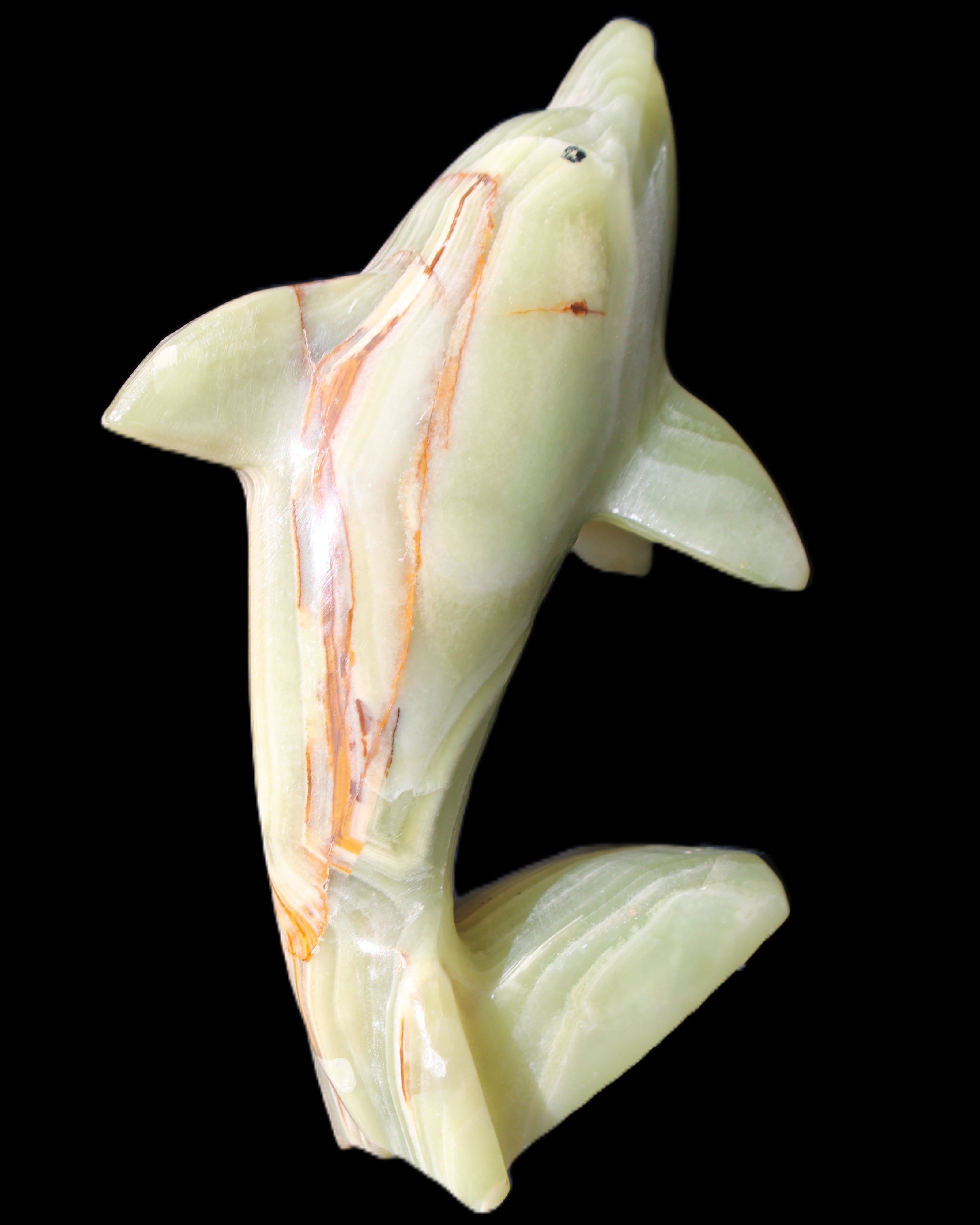 Afghan Jade Leaping Dolphin hand-carved 81*88*31mm 176g in sunlight - Rocks and Things Store