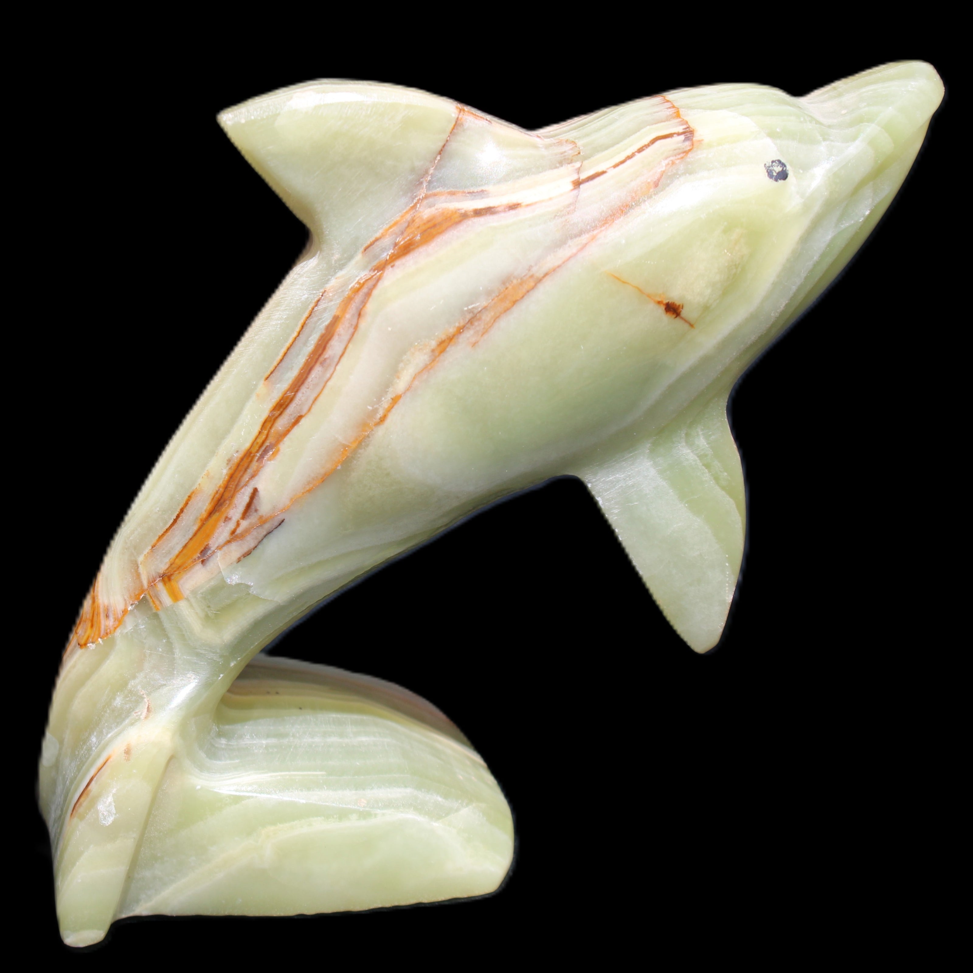 Afghan Jade Leaping Dolphin hand-carved 81*88*31mm 176g in sunlight - Rocks and Things Store