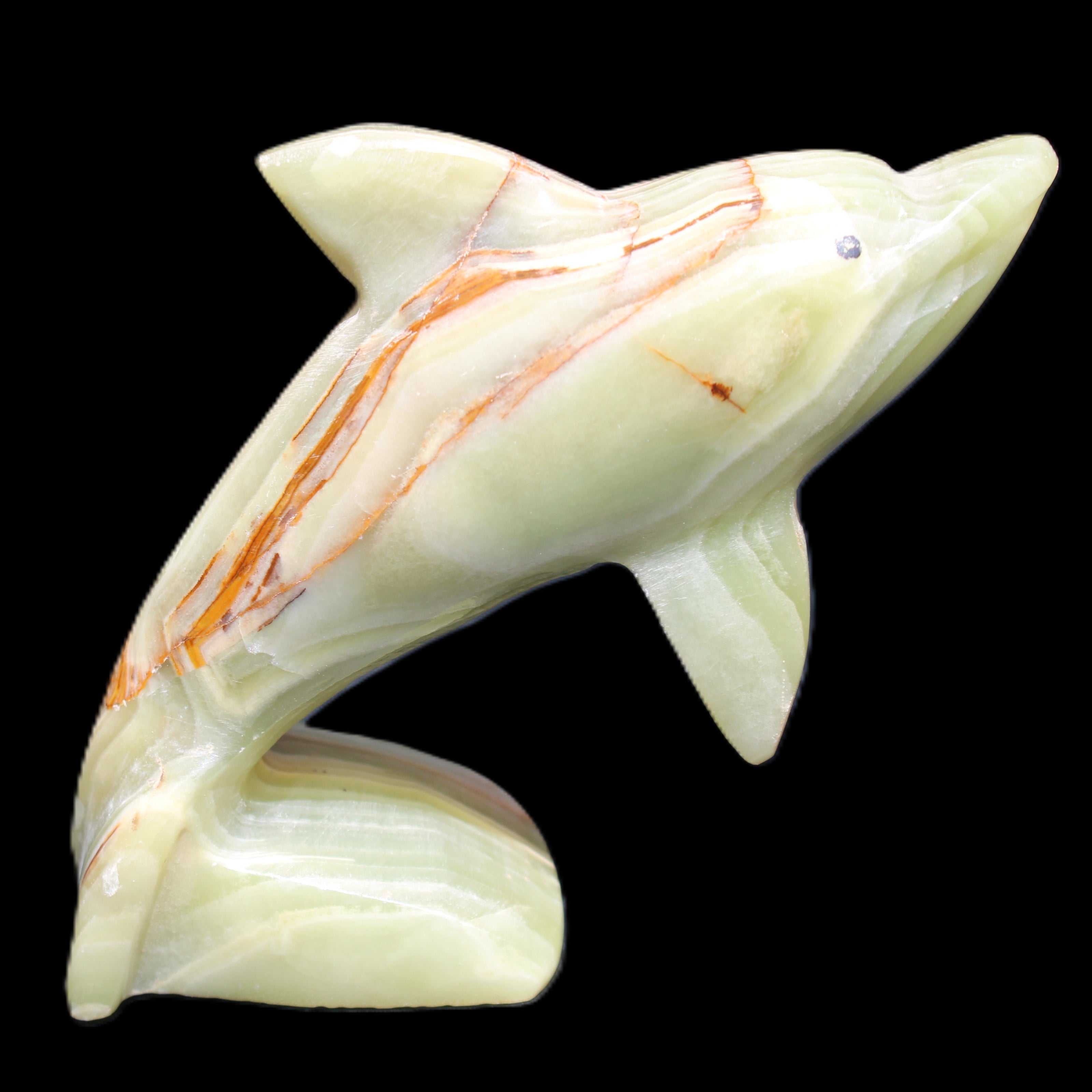 Afghan Jade Leaping Dolphin hand-carved 81*88*31mm 176g in sunlight - Rocks and Things Store