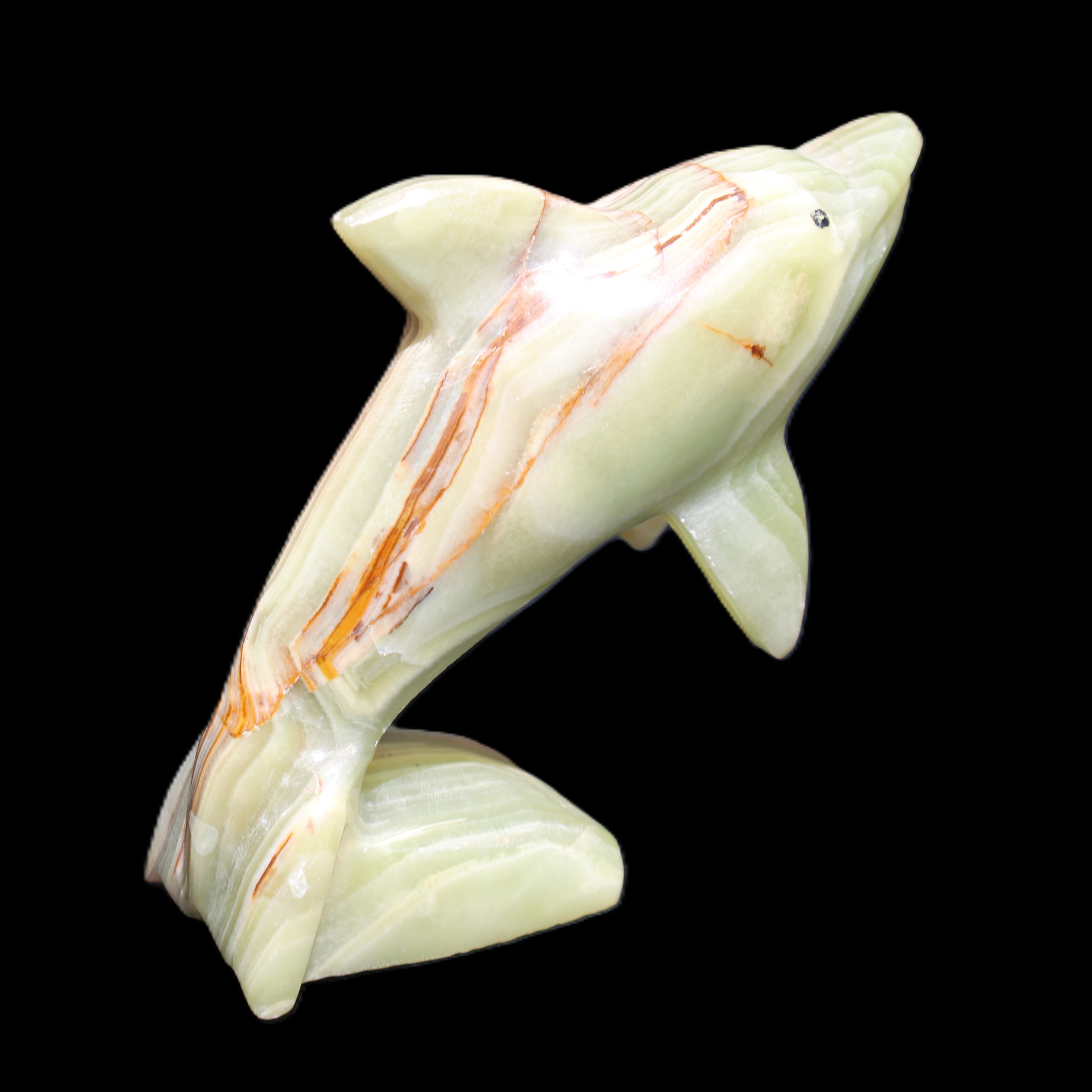 Afghan Jade Leaping Dolphin hand-carved 81*88*31mm 176g in sunlight - Rocks and Things Store