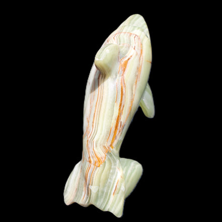 Afghan Jade Leaping Dolphin hand-carved 81*88*31mm 176g in sunlight - Rocks and Things Store