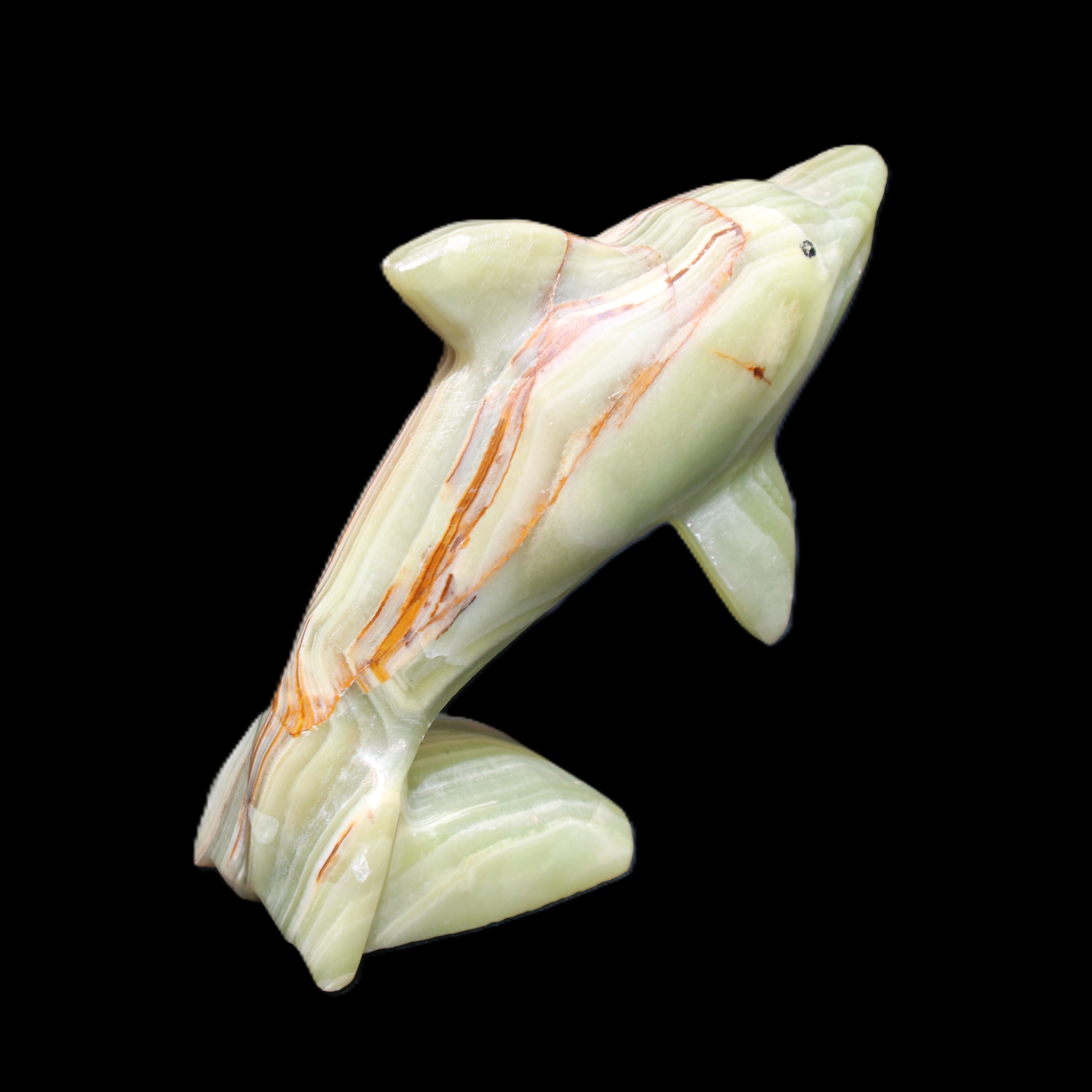 Afghan Jade Leaping Dolphin hand-carved 81*88*31mm 176g in sunlight - Rocks and Things Store