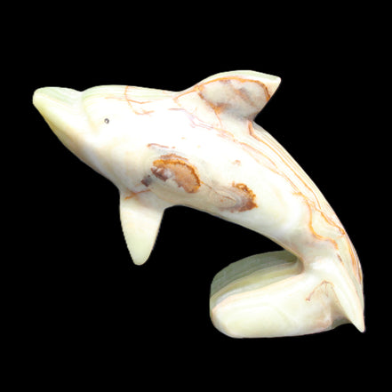 Afghan Jade Leaping Dolphin hand-carved 81*88*31mm 176g in sunlight - Rocks and Things Store