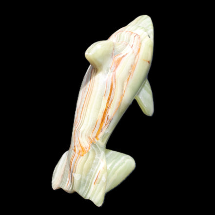 Afghan Jade Leaping Dolphin hand-carved 81*88*31mm 176g in sunlight - Rocks and Things Store