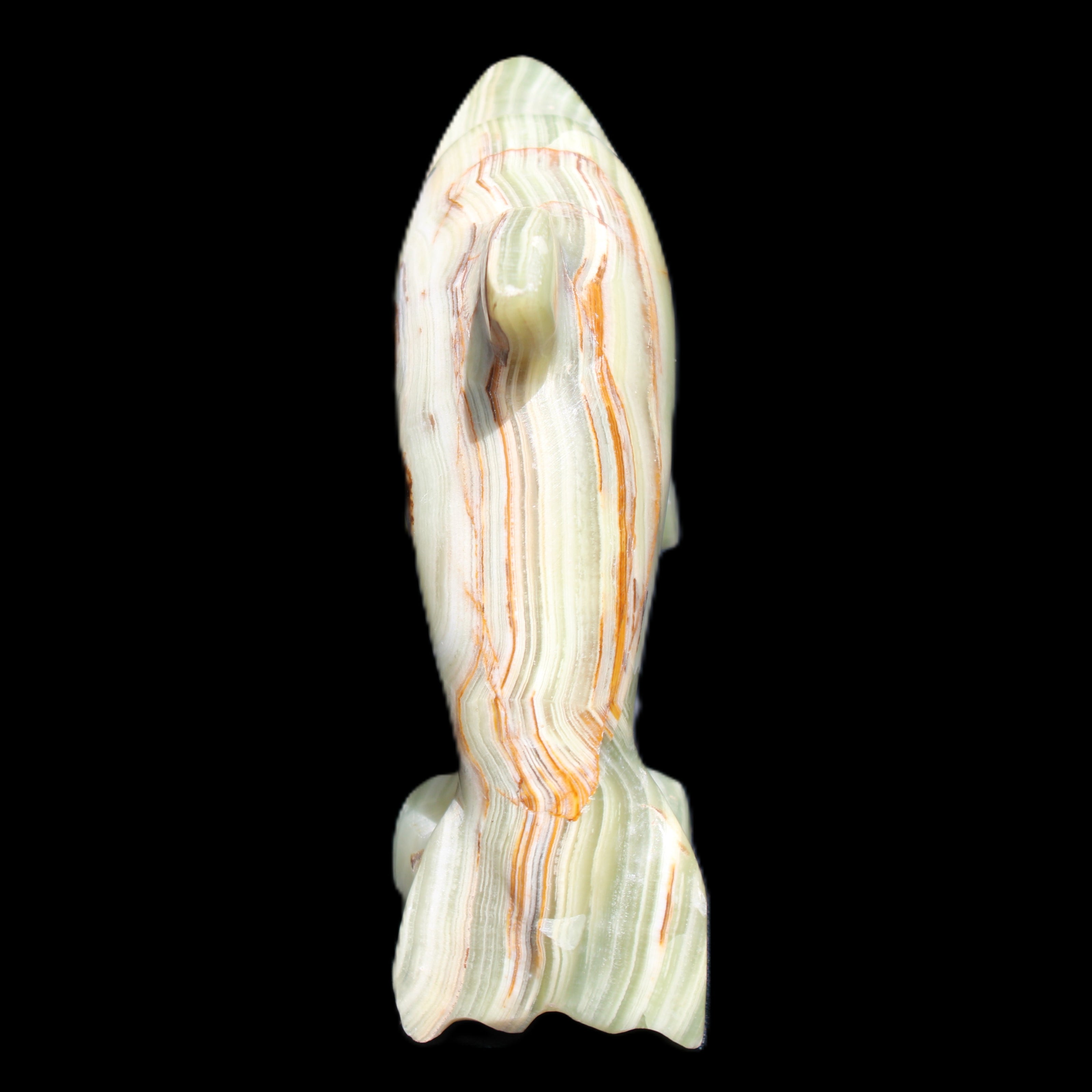 Afghan Jade Leaping Dolphin hand-carved 81*88*31mm 176g in sunlight - Rocks and Things Store