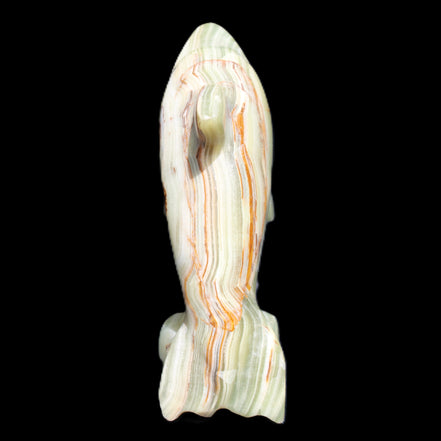 Afghan Jade Leaping Dolphin hand-carved 81*88*31mm 176g in sunlight - Rocks and Things Store