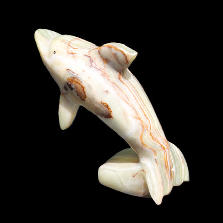 Afghan Jade Leaping Dolphin hand-carved 81*88*31mm 176g in sunlight - Rocks and Things Store