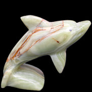Afghan Jade Leaping Dolphin hand-carved 81*88*31mm 176g in sunlight - Rocks and Things Store