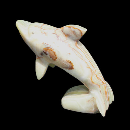 Afghan Jade Leaping Dolphin hand-carved 81*88*31mm 176g in sunlight - Rocks and Things Store