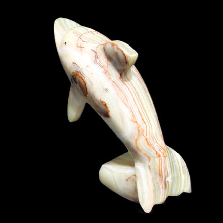 Afghan Jade Leaping Dolphin hand-carved 81*88*31mm 176g in sunlight - Rocks and Things Store