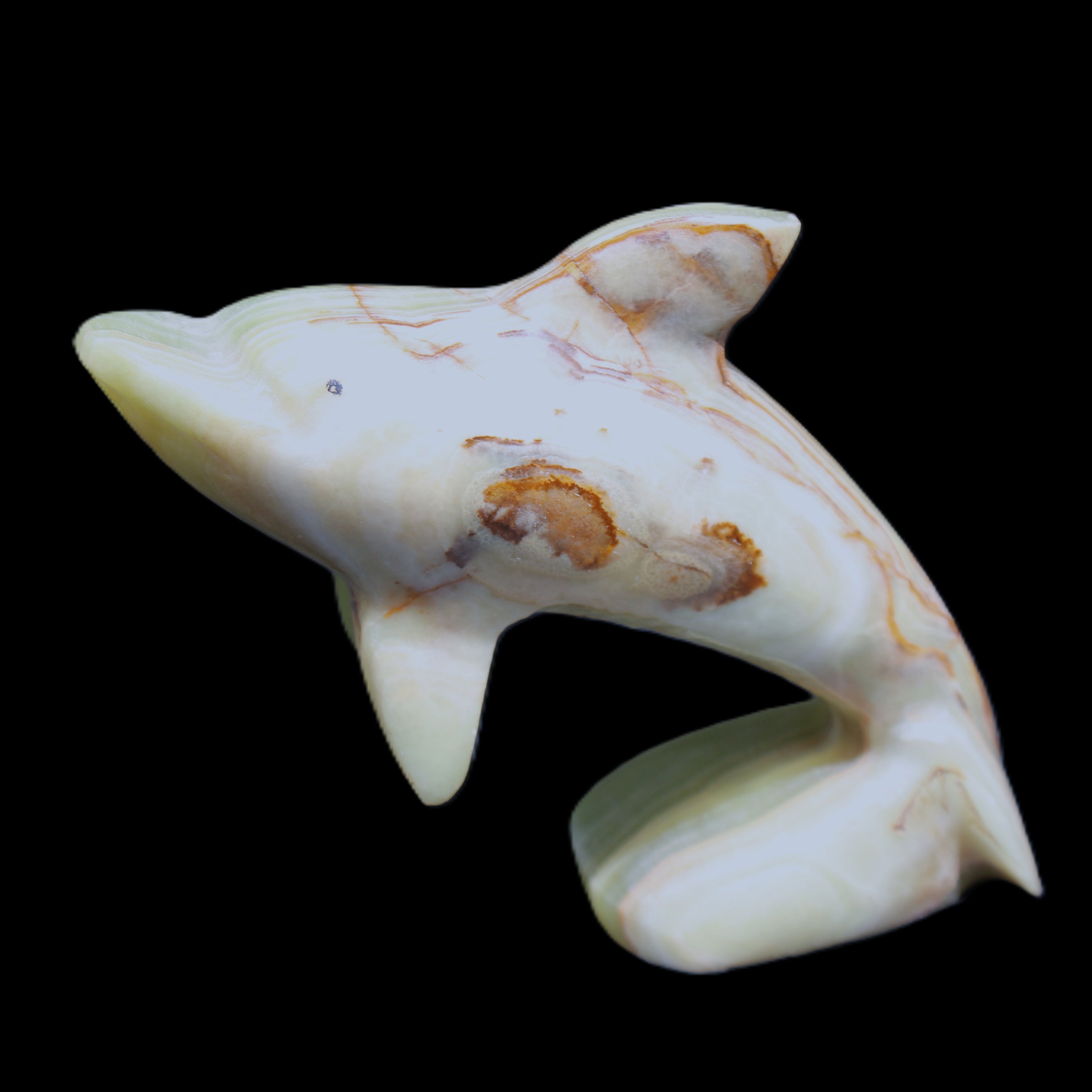 Afghan Jade Leaping Dolphin hand-carved 81*88*31mm 176g in sunlight - Rocks and Things Store