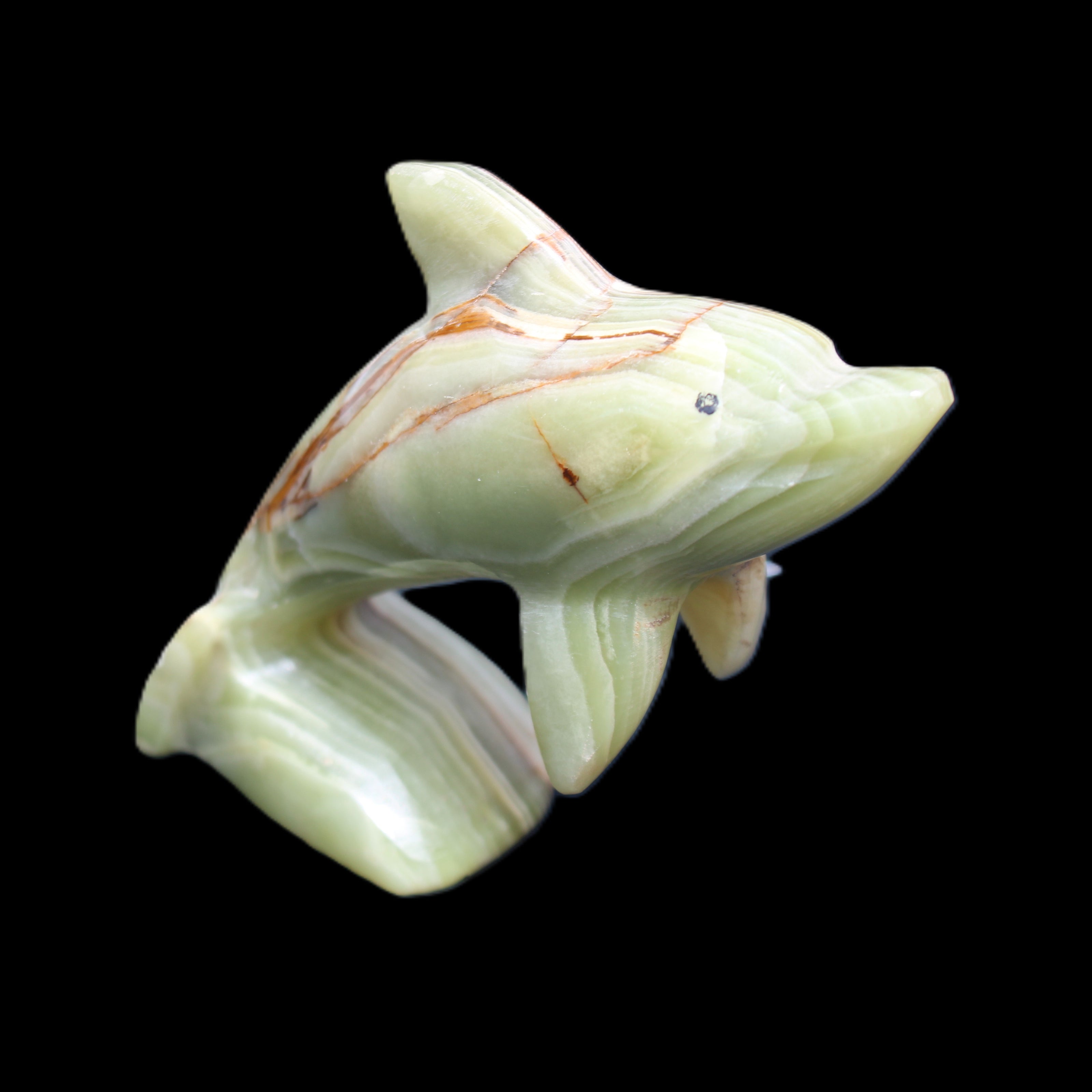 Afghan Jade Leaping Dolphin hand-carved 81*88*31mm 176g in sunlight - Rocks and Things Store