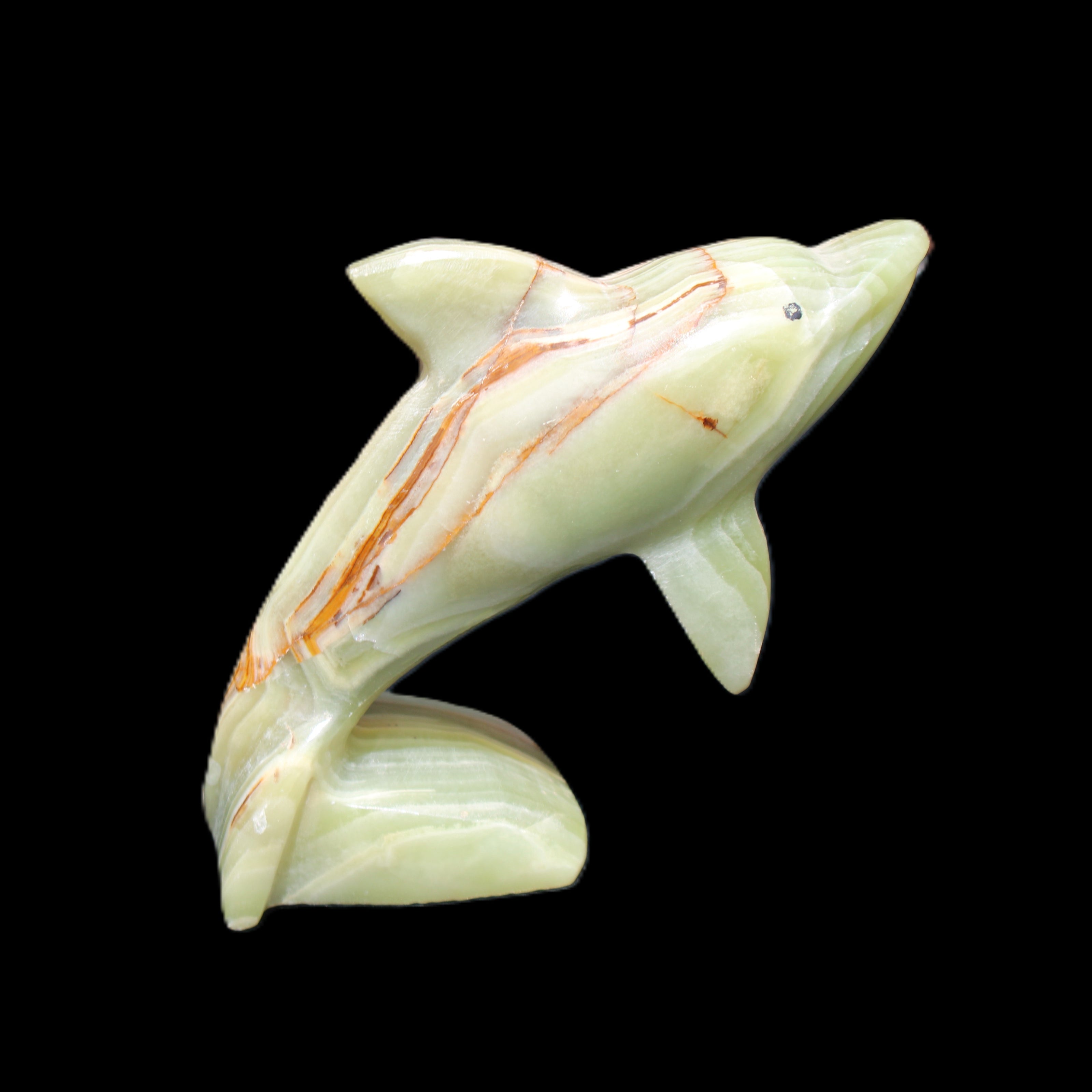 Afghan Jade Leaping Dolphin hand-carved 81*88*31mm 176g in sunlight - Rocks and Things Store