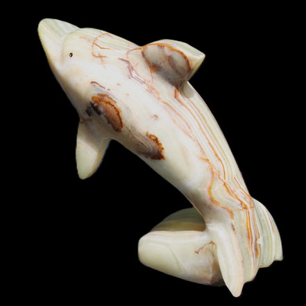 Afghan Jade Leaping Dolphin hand-carved 81*88*31mm 176g in sunlight - Rocks and Things Store