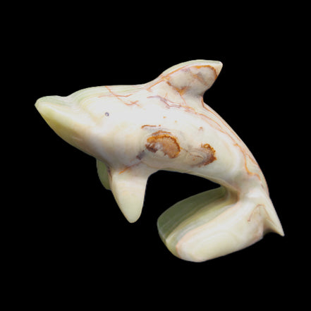 Afghan Jade Leaping Dolphin hand-carved 81*88*31mm 176g in sunlight - Rocks and Things Store