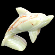 Afghan Jade Leaping Dolphin hand-carved 81*88*31mm 176g in sunlight - Rocks and Things Store