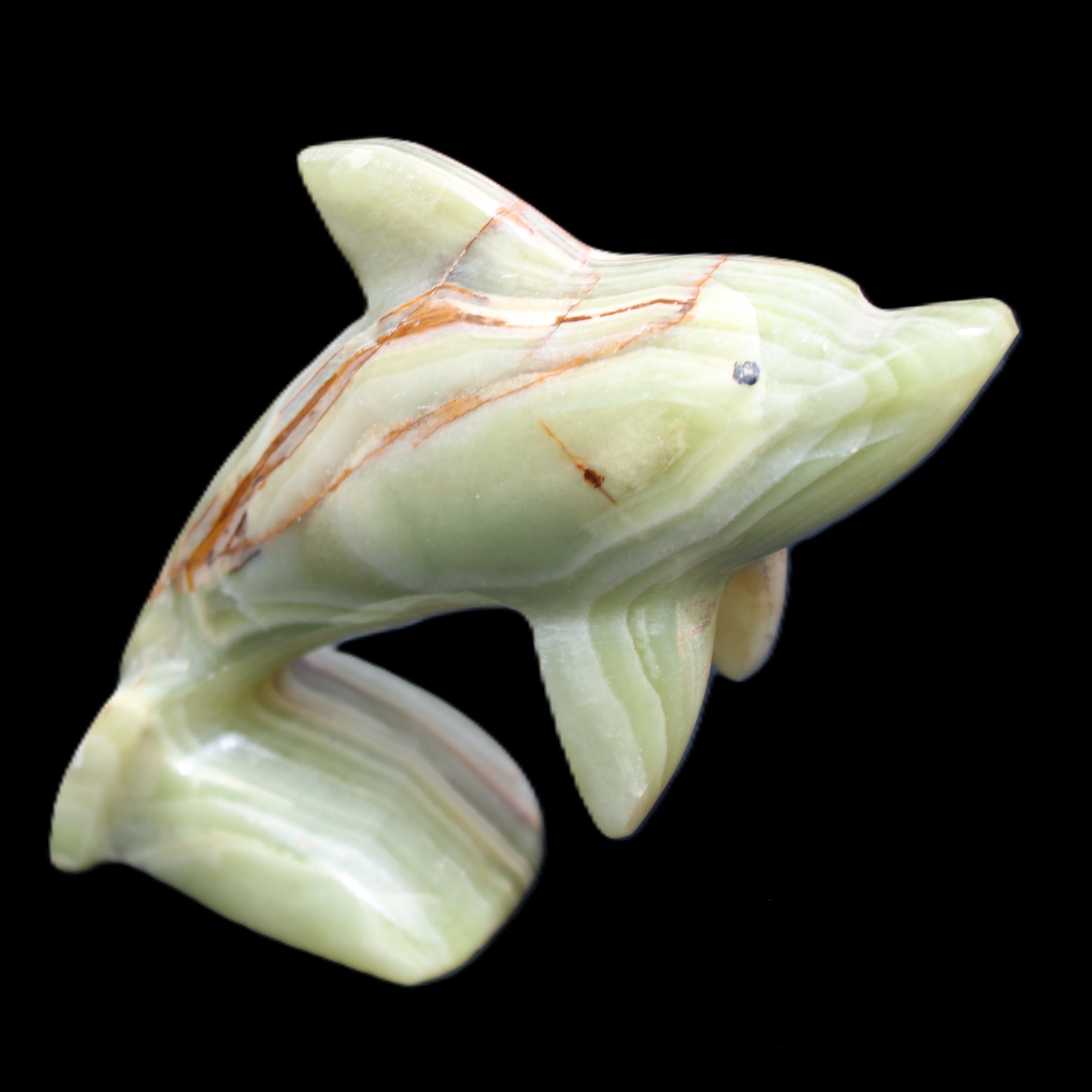 Afghan Jade Leaping Dolphin hand-carved 81*88*31mm 176g in sunlight - Rocks and Things Store