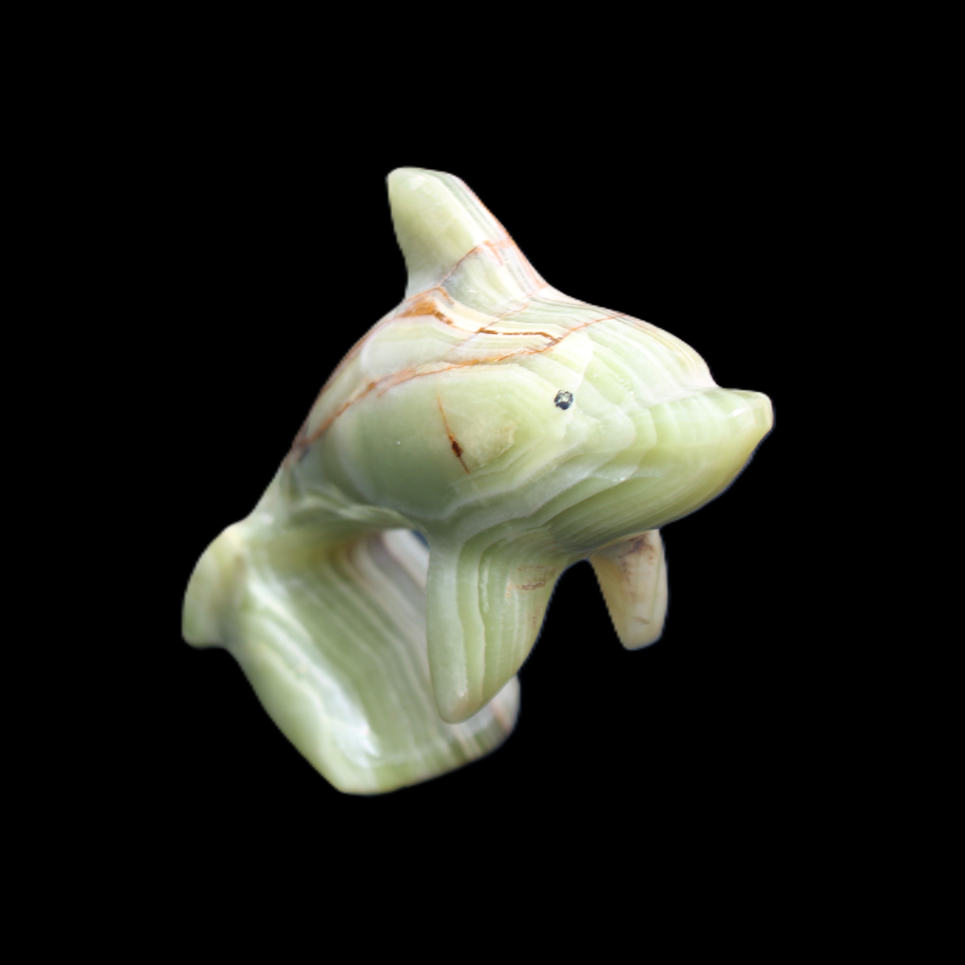 Afghan Jade Leaping Dolphin hand-carved 81*88*31mm 176g in sunlight - Rocks and Things Store