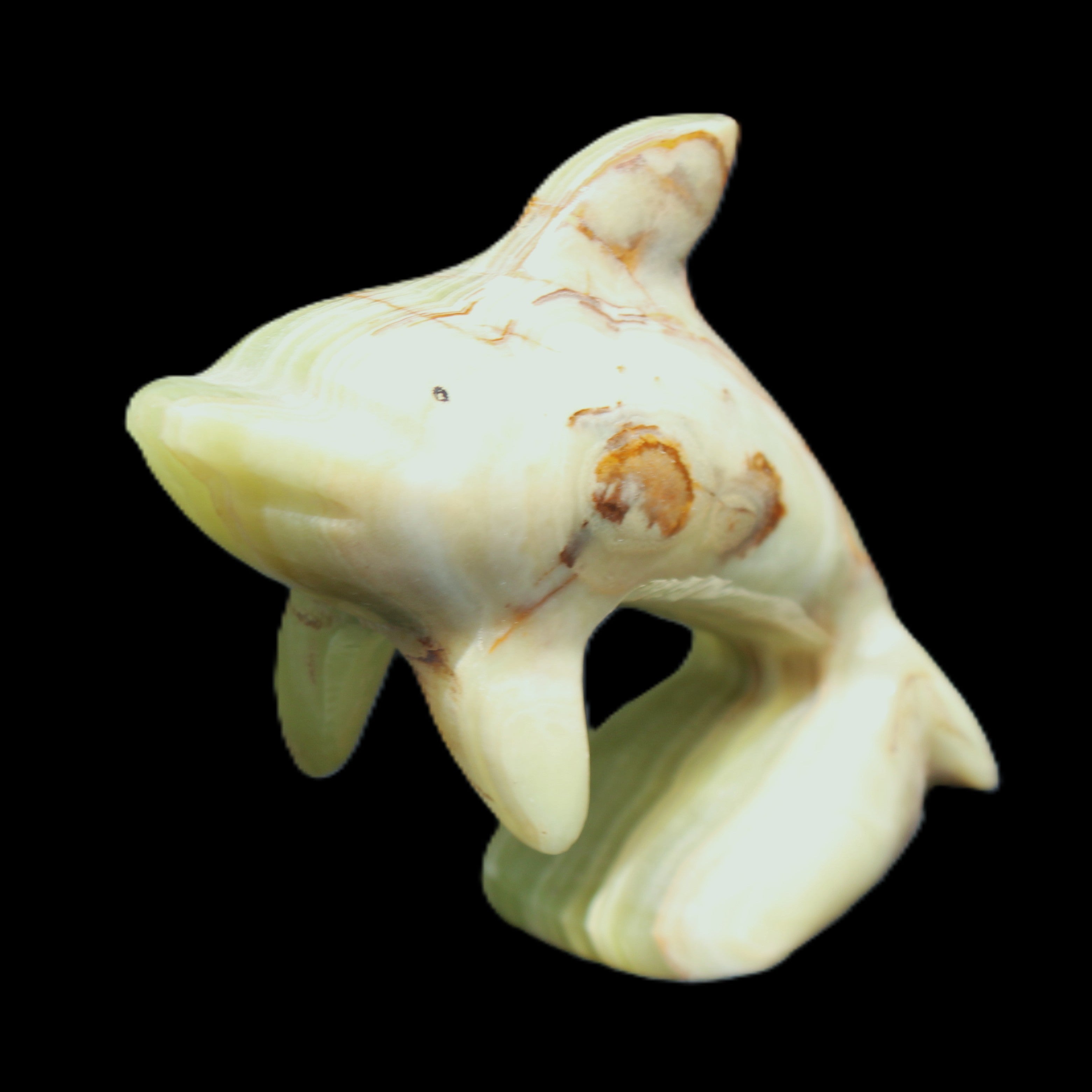 Afghan Jade Leaping Dolphin hand-carved 81*88*31mm 176g in sunlight - Rocks and Things Store