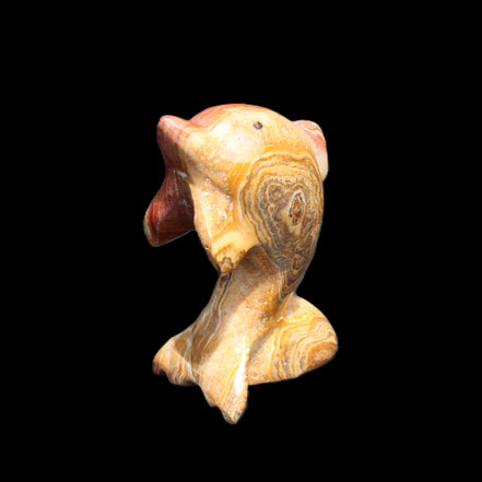 Afghan Jade Leaping Dolphin hand-carved 81*56*30mm 172g in sunlight - Rocks and Things Store