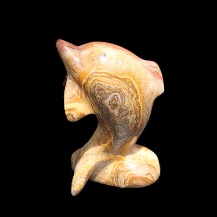 Afghan Jade Leaping Dolphin hand-carved 81*56*30mm 172g in sunlight - Rocks and Things Store