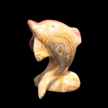 Afghan Jade Leaping Dolphin hand-carved 81*56*30mm 172g in sunlight - Rocks and Things Store