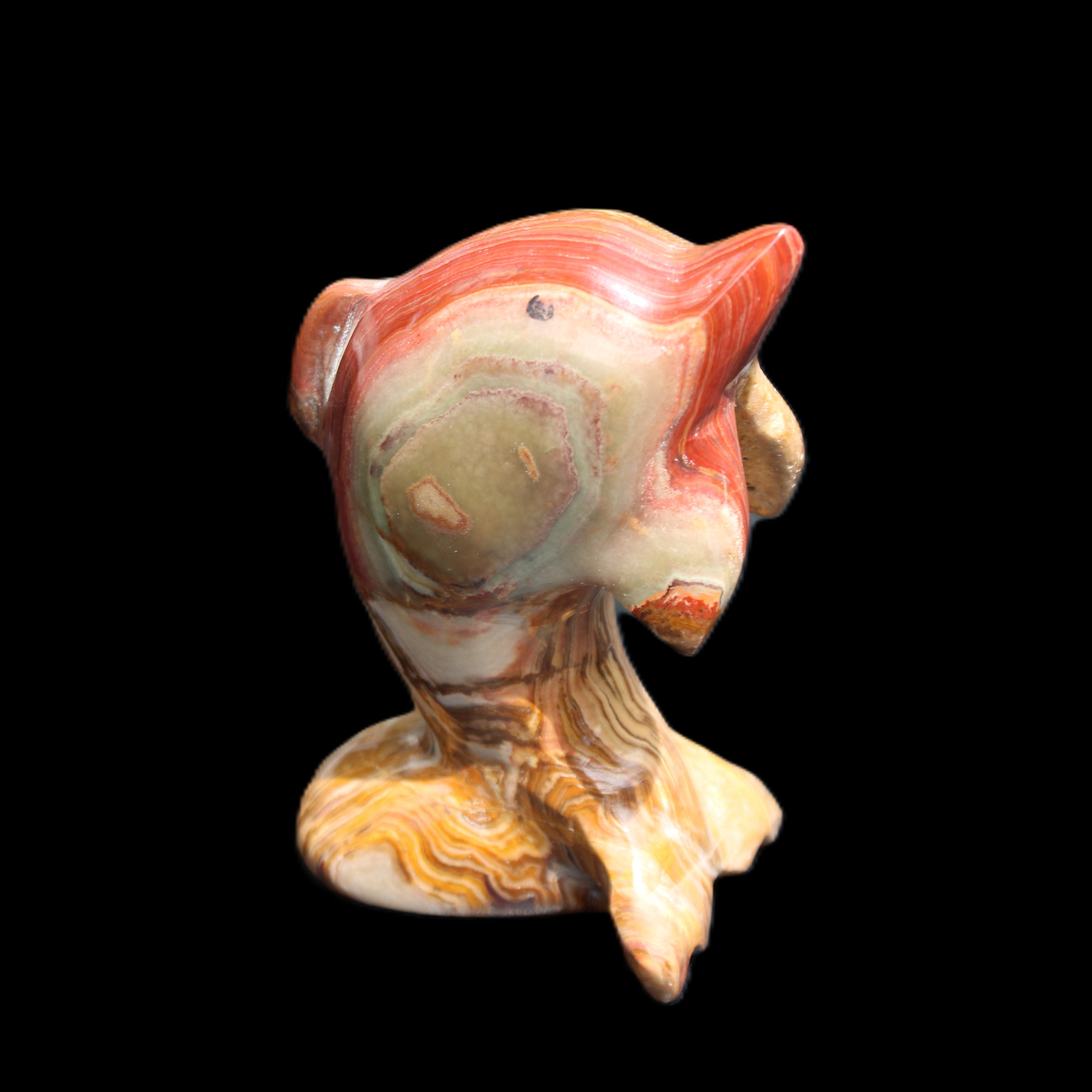 Afghan Jade Leaping Dolphin hand-carved 81*56*30mm 172g in sunlight - Rocks and Things Store