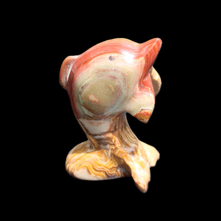 Afghan Jade Leaping Dolphin hand-carved 81*56*30mm 172g in sunlight - Rocks and Things Store