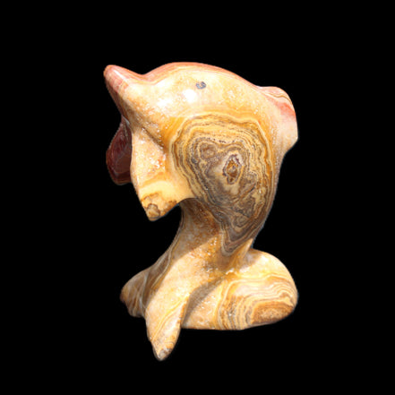 Afghan Jade Leaping Dolphin hand-carved 81*56*30mm 172g in sunlight - Rocks and Things Store