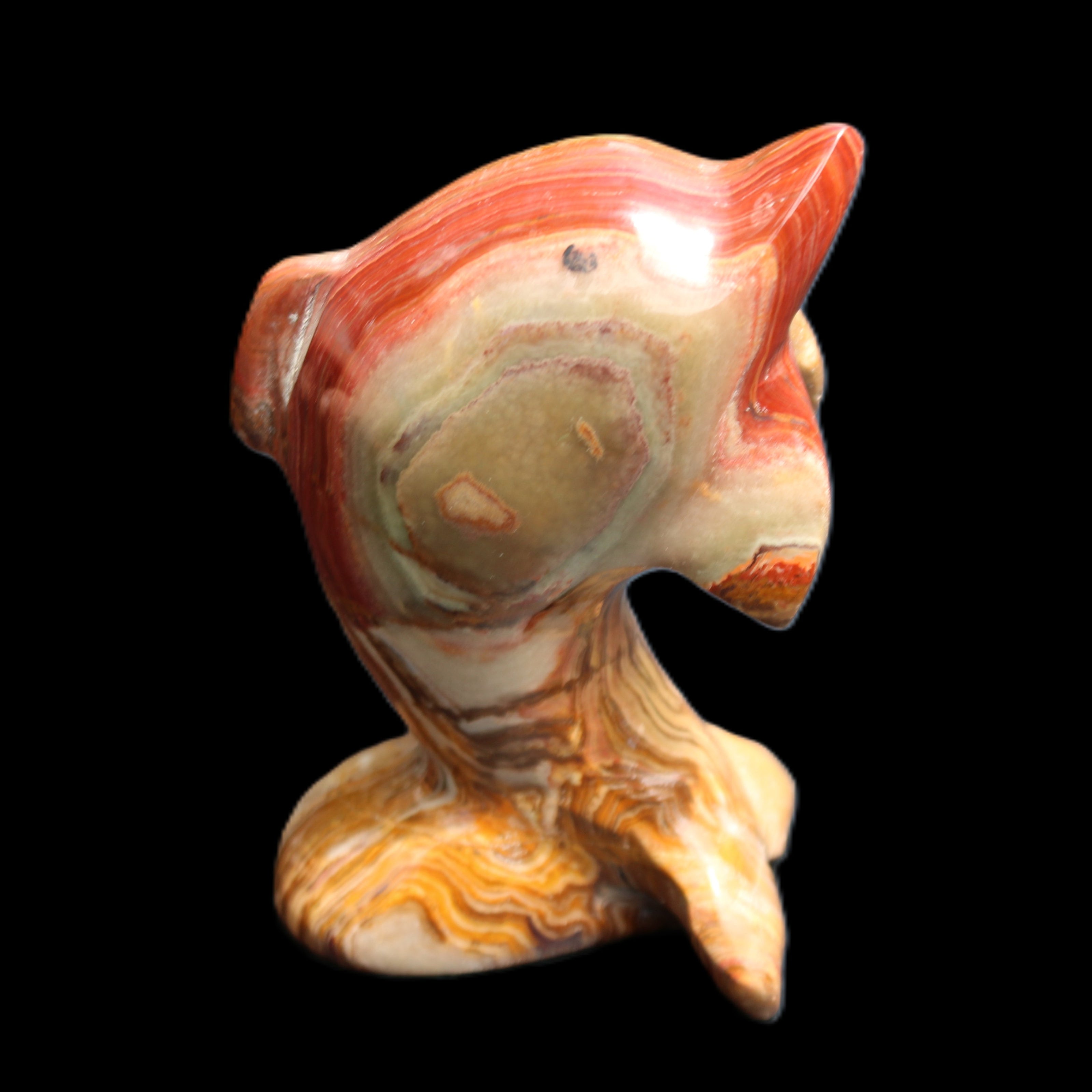 Afghan Jade Leaping Dolphin hand-carved 81*56*30mm 172g in sunlight - Rocks and Things Store