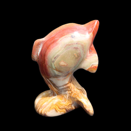 Afghan Jade Leaping Dolphin hand-carved 81*56*30mm 172g in sunlight - Rocks and Things Store