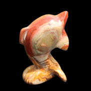 Afghan Jade Leaping Dolphin hand-carved 81*56*30mm 172g in sunlight - Rocks and Things Store