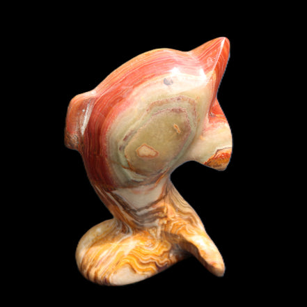 Afghan Jade Leaping Dolphin hand-carved 81*56*30mm 172g in sunlight - Rocks and Things Store