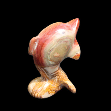 Afghan Jade Leaping Dolphin hand-carved 81*56*30mm 172g in sunlight - Rocks and Things Store