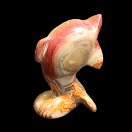 Afghan Jade Leaping Dolphin hand-carved 81*56*30mm 172g in sunlight - Rocks and Things Store