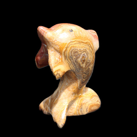 Afghan Jade Leaping Dolphin hand-carved 81*56*30mm 172g in sunlight - Rocks and Things Store