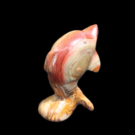 Afghan Jade Leaping Dolphin hand-carved 81*56*30mm 172g in sunlight - Rocks and Things Store