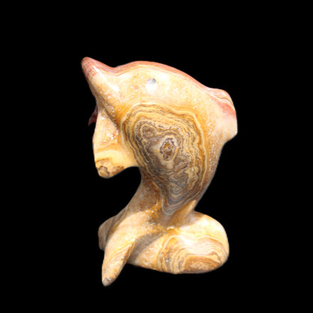 Afghan Jade Leaping Dolphin hand-carved 81*56*30mm 172g in sunlight - Rocks and Things Store