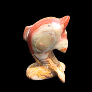 Afghan Jade Leaping Dolphin hand-carved 81*56*30mm 172g in sunlight - Rocks and Things Store