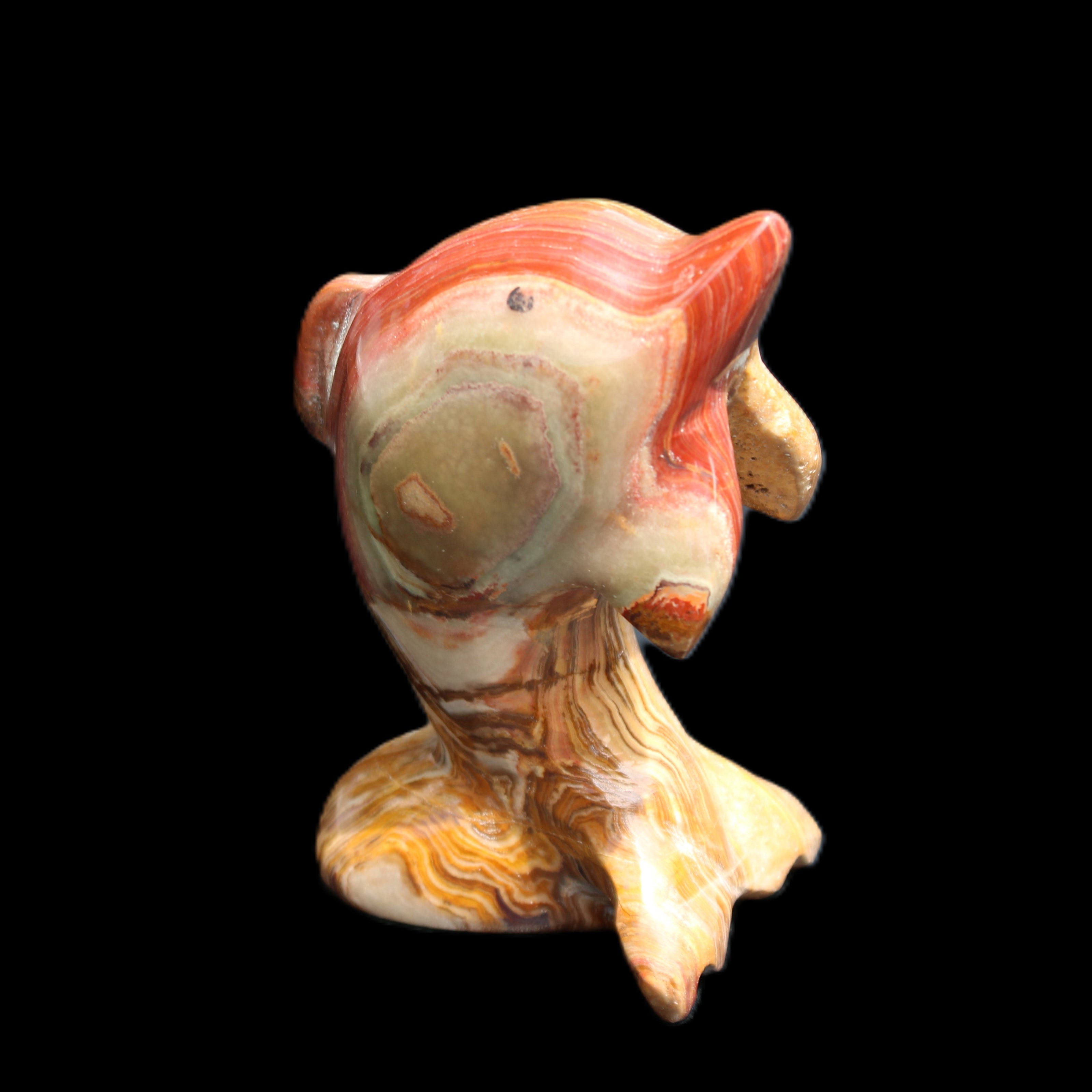 Afghan Jade Leaping Dolphin hand-carved 81*56*30mm 172g in sunlight - Rocks and Things Store