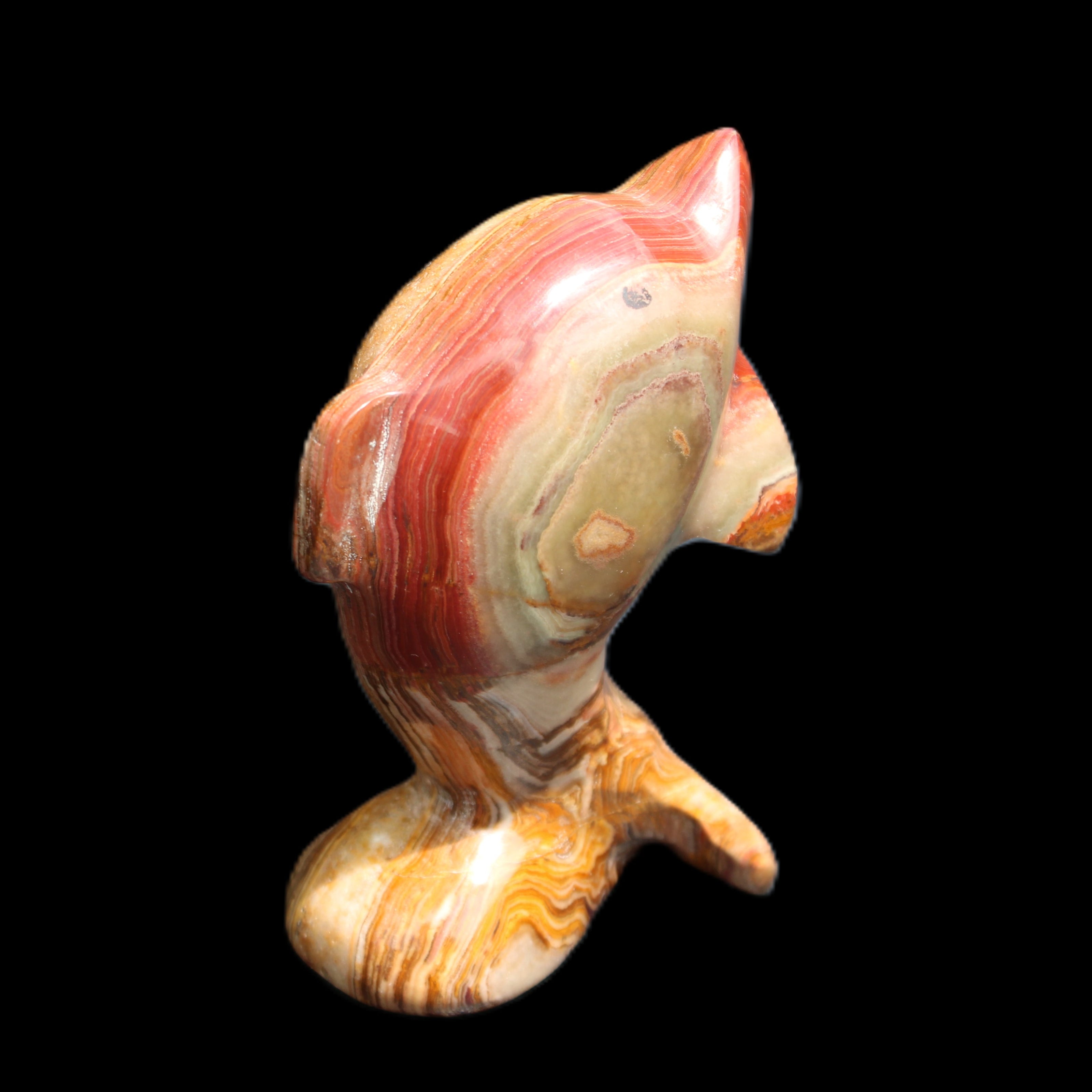 Afghan Jade Leaping Dolphin hand-carved 81*56*30mm 172g in sunlight - Rocks and Things Store