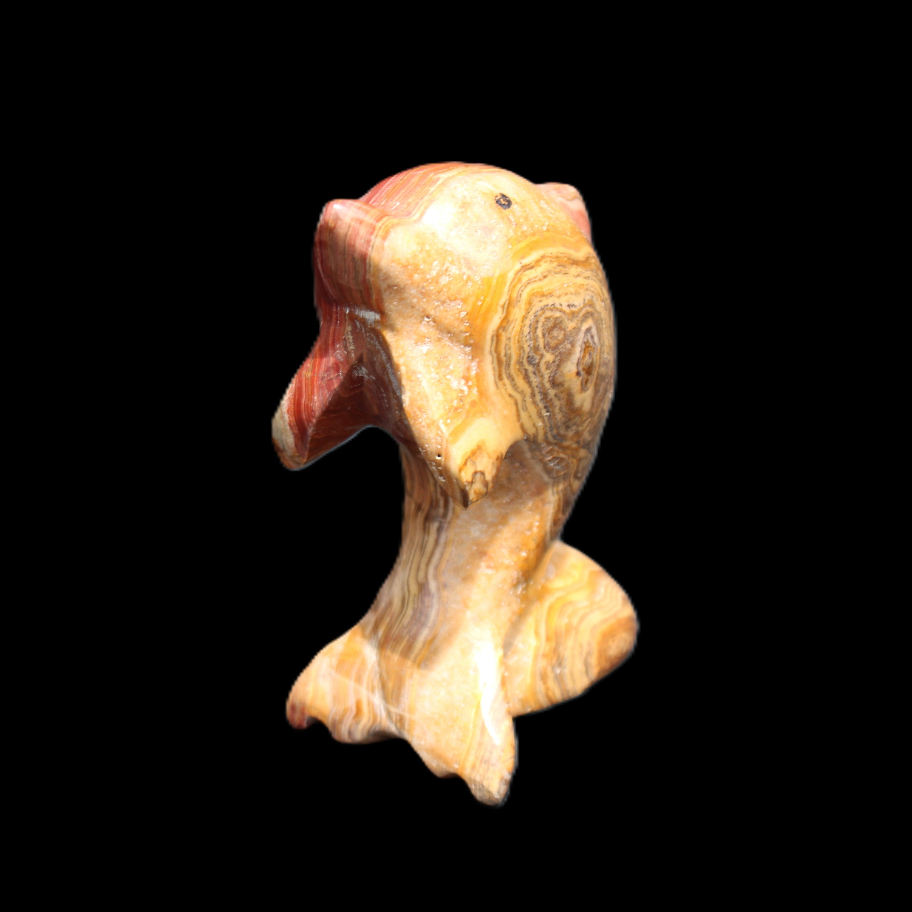 Afghan Jade Leaping Dolphin hand-carved 81*56*30mm 172g in sunlight - Rocks and Things Store