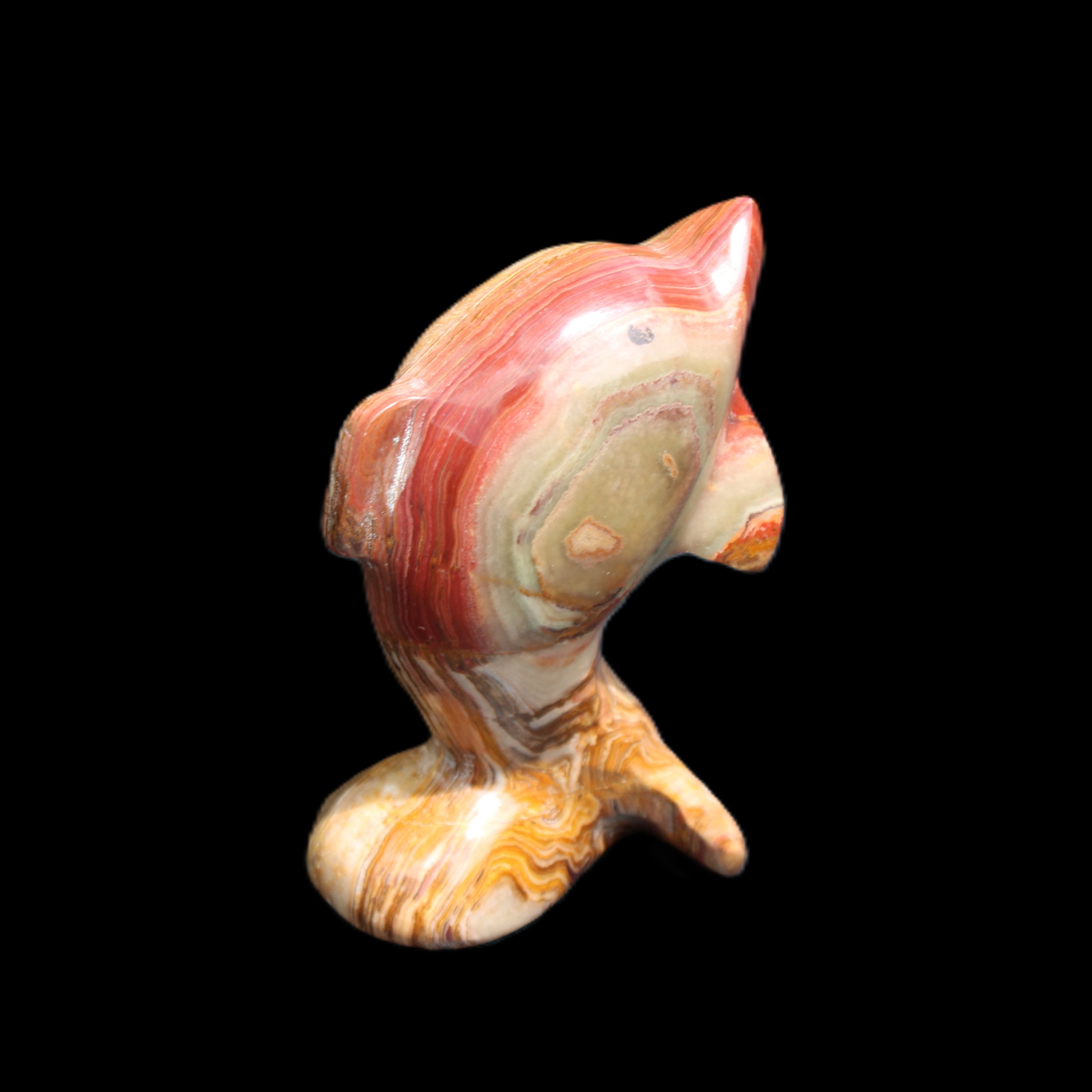 Afghan Jade Leaping Dolphin hand-carved 81*56*30mm 172g in sunlight - Rocks and Things Store